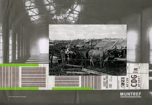 Widzenie powtórne [Argentyna Buenos Aires], 2019, kolaz papier, 21x29cm