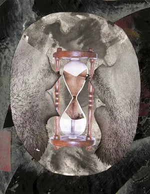 Z cyklu Troche Dziwny, kolaz, 2014