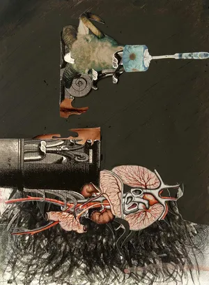 Z cyklu Troche Dziwny, kolaz, 2014