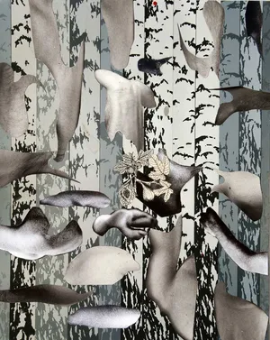 Z cyklu Troche Dziwny, kolaz, 2014