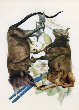 Transatlantyk, kolaż, papier